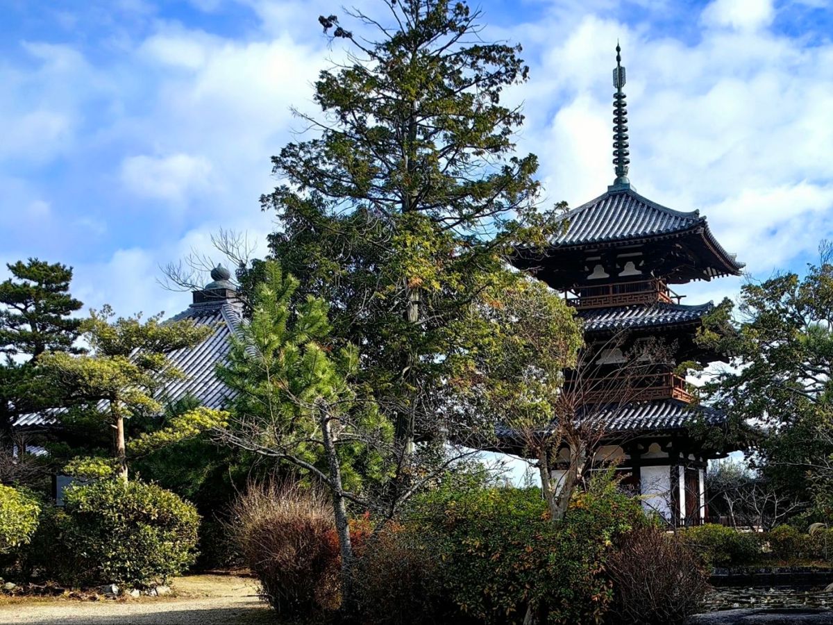 Where Ancient Japan Still Breathes: Ikaruga’s Temple Trail